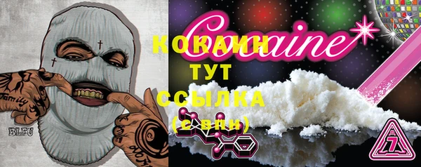 ECSTASY Магас