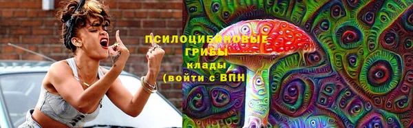 ECSTASY Магас