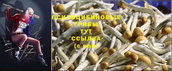 винт Армянск